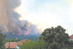 Τεράστια η οικολογική καταστροφή στο δάσος της Δαδιάς