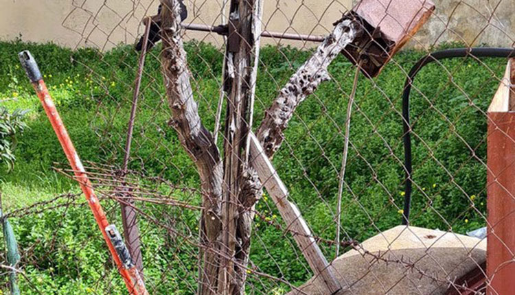 Τα γεράνια και άλλες μηχανές άντλησης νερού