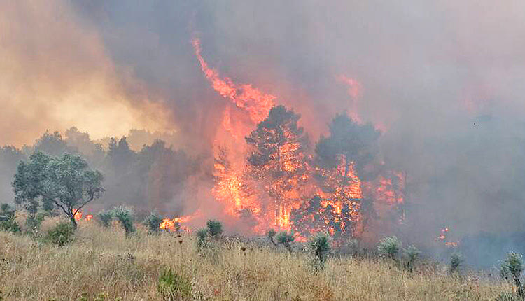 ΥΨΗΛΟΣ ΚΙΝΔΥΝΟΣ Διαρκής επιφυλακή για πυρκαγιές