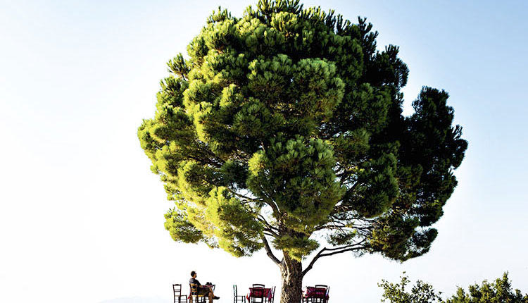 Ώρες χαλάρωσης στο χωριό Καράνου με την ματιά του SteMajourneys