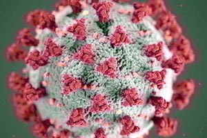 κορονοιός μετάλλαξη όμικρον - δέλτα