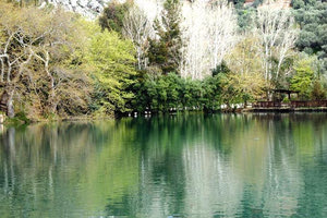 στη Λίμνη του Ζαρού