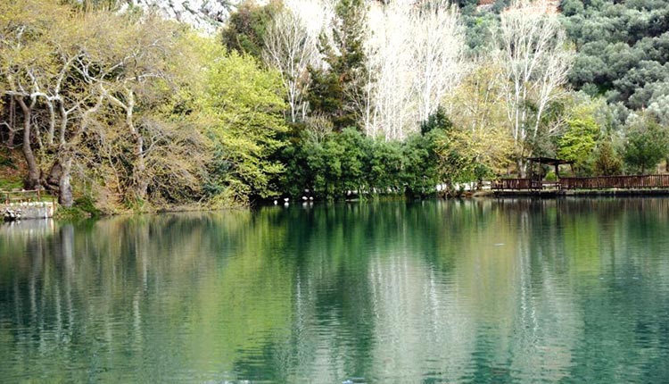 στη Λίμνη του Ζαρού