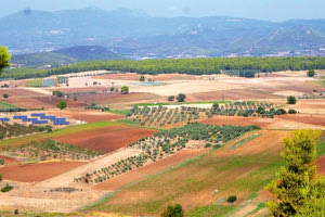 δασικοί χάρτες