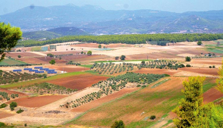 δασικοί χάρτες