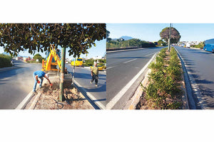 Επιχείρηση ενίσχυσης του πρασίνου στο Ηράκλειο