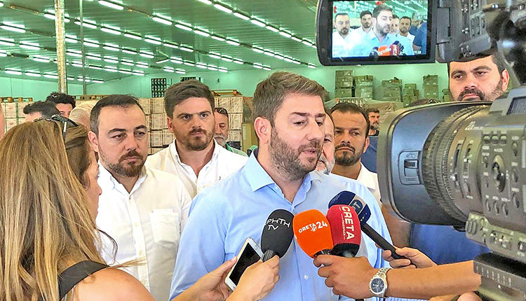ο πρόεδρος του ΠΑΣΟΚ-ΚΙΝΑΛ, Νίκος Ανδρουλάκης