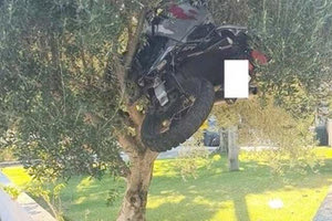 Προσγειώθηκε στην... ελιά