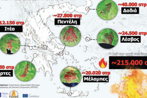 μελαμπες καμμενα