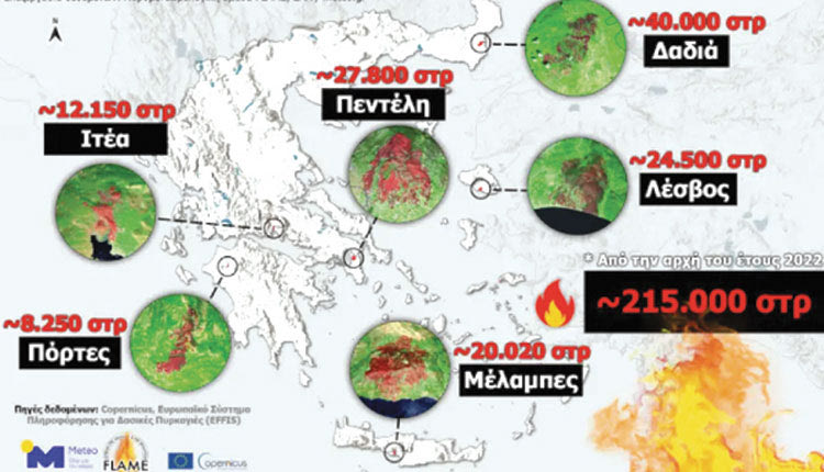 μελαμπες καμμενα