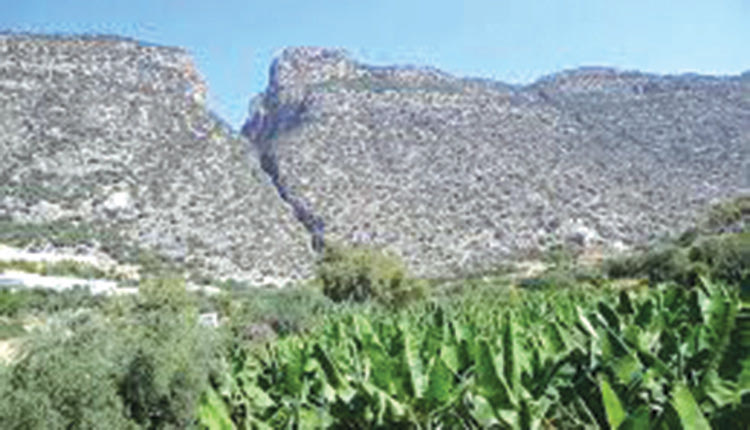 Το φαράγγι της Άρβης