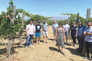 ΟΙ ΕΙΔΙΚΟΙ ΓΕΥΤΗΚΑΝ ΤΑ ΚΡΑΣΙΑ ΜΑΣ Μια ντουζίνα Αγγλοσάξωνες στον κρητικό αμπελώνα