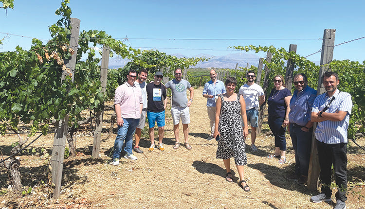 ΟΙ ΕΙΔΙΚΟΙ ΓΕΥΤΗΚΑΝ ΤΑ ΚΡΑΣΙΑ ΜΑΣ Μια ντουζίνα Αγγλοσάξωνες στον κρητικό αμπελώνα