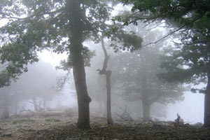 ιδιωτικα κατσικια