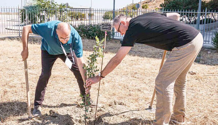 Δενδροφύτευση στα «Δύο Αοράκια» Δράση υψηλού συμβολισμού πραγματοποιήθηκε στο περιθώριο του Ευρωμπάσκετ Νεανίδων που φιλοξένησε το Ηράκλειο.