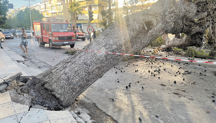 Το πεζοδρόμιο “ξηλώθηκε”