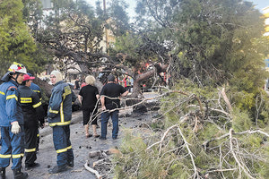 ηρακλειο πτωση δεντρου