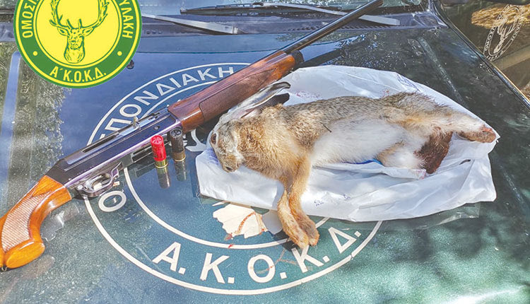 Συλλήψεις για λαθροθηρία