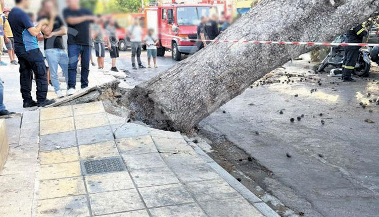 Με μεγάλο ενδιαφέρον αναμένονται τα τελικά πορίσματα