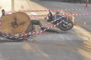 Με μεγάλο ενδιαφέρον αναμένονται τα τελικά πορίσματα