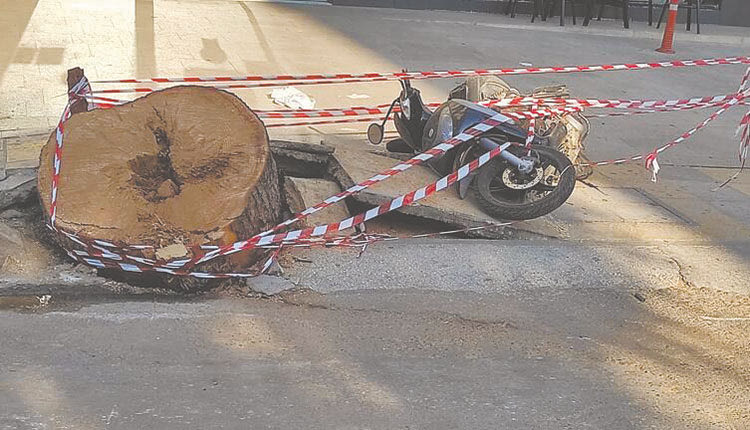 Με μεγάλο ενδιαφέρον αναμένονται τα τελικά πορίσματα