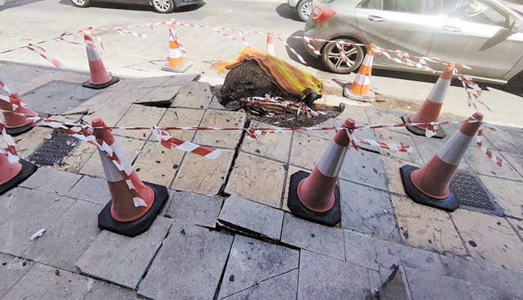 Σύμφωνα με πληροφορίες, μέχρι χθες δεν είχε ξεκινήσει η έρευνα των εμπειρογνωμόνων στον κορμό του δέντρου