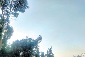 ΕΠΙΚΙΝΔΥΝΑ ΔΕΝΤΡΑ ΚΑΙ ΣΤΗΝ ΕΘΝΙΚΗ