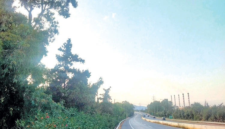ΕΠΙΚΙΝΔΥΝΑ ΔΕΝΤΡΑ ΚΑΙ ΣΤΗΝ ΕΘΝΙΚΗ