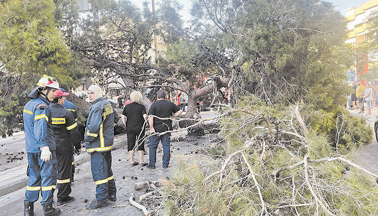 Οι εμπειρογνώμονες ορκίστηκαν χθες παρουσία αστυνομικών