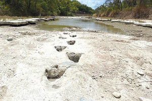 Στο Τέξας ήρθαν στο φως ίχνη δεινοσαύρων σε αποξηραμένη κοίτη ποταμού