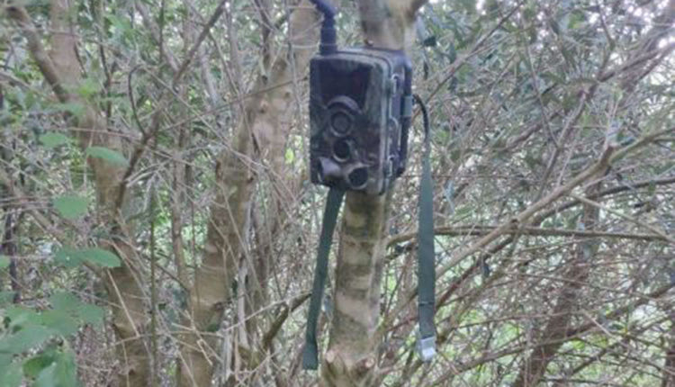 ΣΙΣΣΕΣ  Βρέθηκαν οι τρεις καλλιεργητές του χασίς 