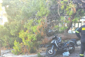 Μέχρι και χθες δεν είχαν αναλάβει δράση οι εμπειρογνώμονες