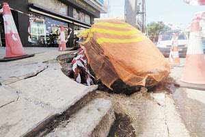 ΕΡΕΥΝΑ ΓΙΑ ΤΗΝ ΠΤΩΣΗ ΤΟΥ ΠΕΥΚΟΥ ΣΤΗΝ ΔΗΜΟΚΡΑΤΙΑΣ
