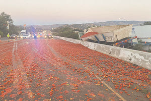 Κρίμα στις ντομάτες
