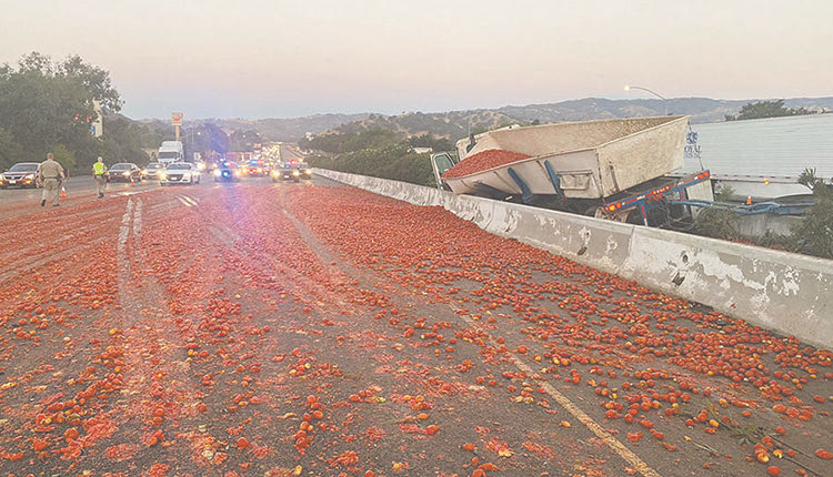 Κρίμα στις ντομάτες