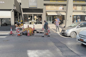 Στο Ινστιτούτο Παστέρ ίσως γίνουν οι αναλύσεις των τμημάτων του δέντρου