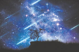 διάττοντες Περσείδες