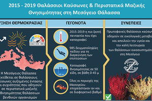 Οι καύσωνες σκοτώνουν τους θαλάσσιους οργανισμούς