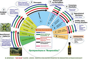Η παραγωγή και πιστοποίηση της ποιότητας του Εξαιρετικά Παρθένου Ελαιόλαδου στην Ελλάδα μέσω... ΕΛΜΕΠΑ