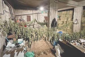 Η αποθήκη του σπιτιού είχε μετατραπεί σε... αποξηραντήριο κάνναβης