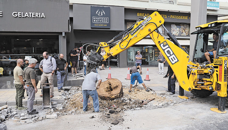 ΤΙ ΕΔΕΙΞΕ Η  ΑΥΤΟΨΙΑ Ένα δέντρο χωρίς... ρίζες