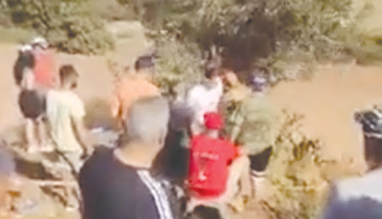 εκοψαν το δεντρο