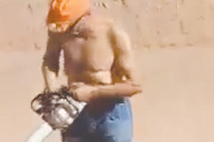 εκοψαν το δεντρο