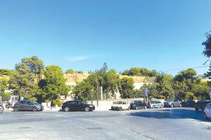 πευκα στην οαση