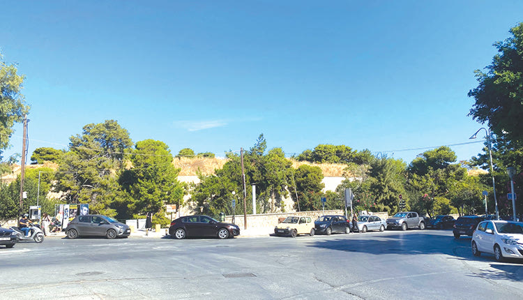 πευκα στην οαση