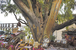 Στη Γέργερη η 2η Γιορτή του Παγκόσμιου Γεωπάρκου UNESCO του Ψηλορείτη