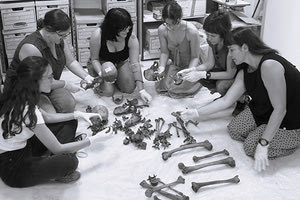 Πανευρωπαϊκό Συμπόσιο Ιατροδικαστικής Ανθρωπολογίας