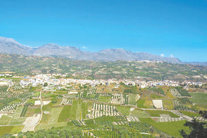 ΦΡΑΓΜΑ ΔΑΦΝΩΝ: Το μεγάλο λάθος και η έκκληση στους ιδιοκτήτες γης να συναινέσουν στην απαλλοτρίωση