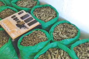 Σε μια ρεματιά 8 χιλιόμετρα από το Πέραμα εντοπίστηκε η ποσότητα των 47 κιλών χασίς