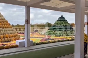 Τρακτέρ και… πεπόνια!